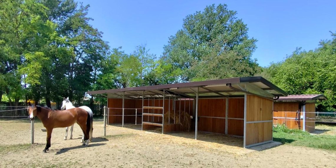 Foto articolo La gestione dei cavalli 1140x570