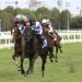 39ª Giornata di Galoppo a San Siro