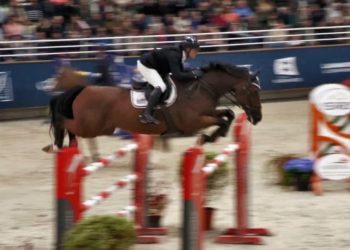 Paolo OK 350x250