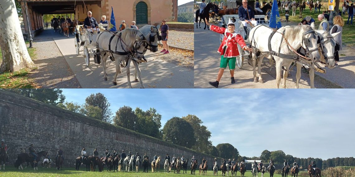 EquiLucca 2025: la città si scopre a cavallo