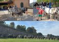 EquiLucca 2025: la città si scopre a cavallo