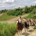 Biodiversità e Turismo Equestre: un’alleanza per le razze italiane
