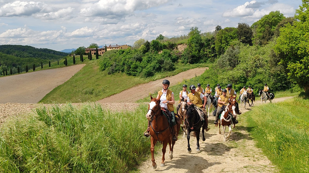 WhatsApp Image 2025 04 28 at 19.43.54