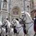 Fiorente 2025: cavalli, tradizione e bellezza nel cuore di Firenze