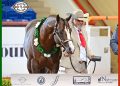 2025 Apha/Wcha Halter Million: i Paint parlano anche italiano