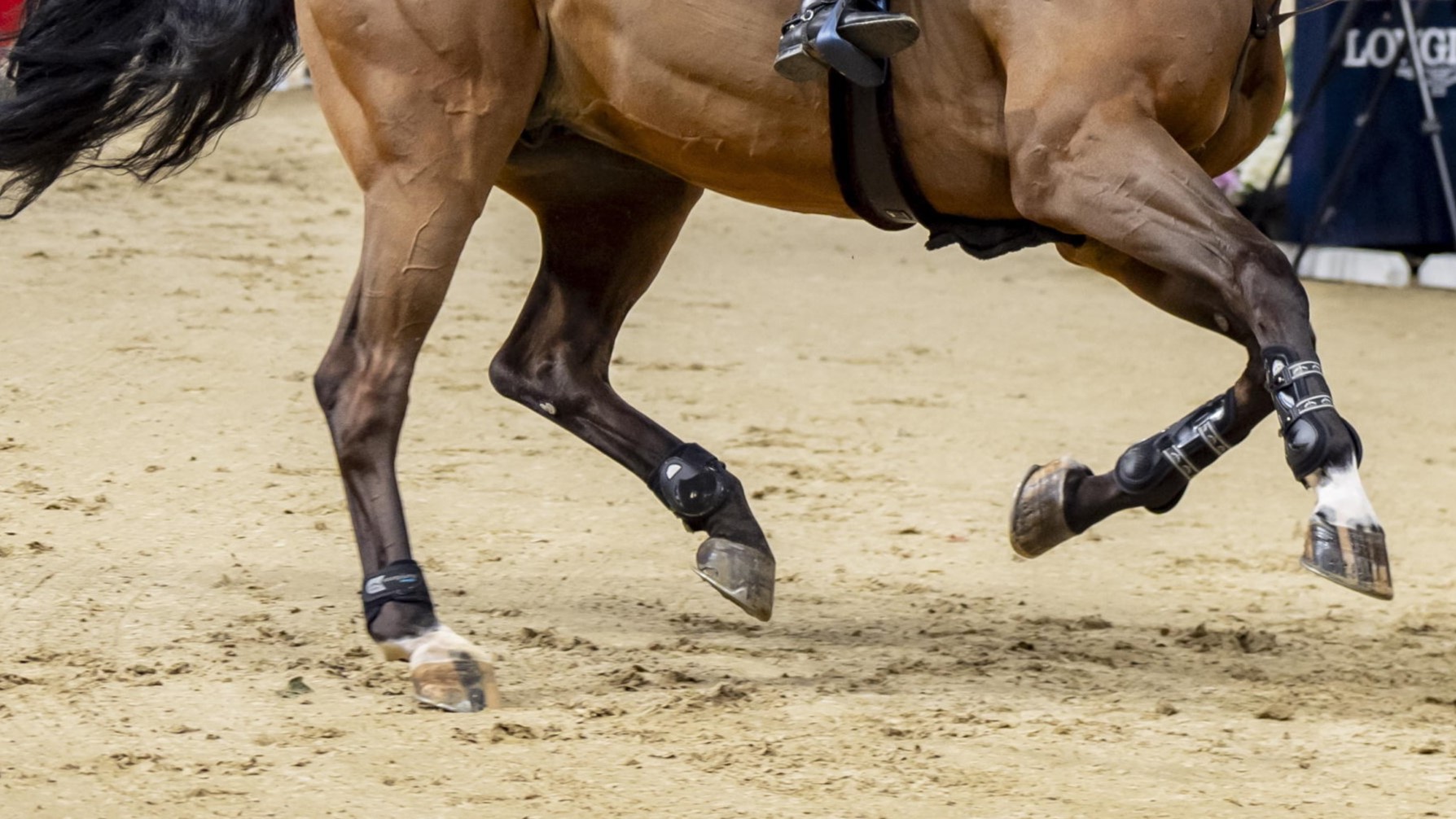 aebe5d710ea3c2f50c9baa922a94db6e