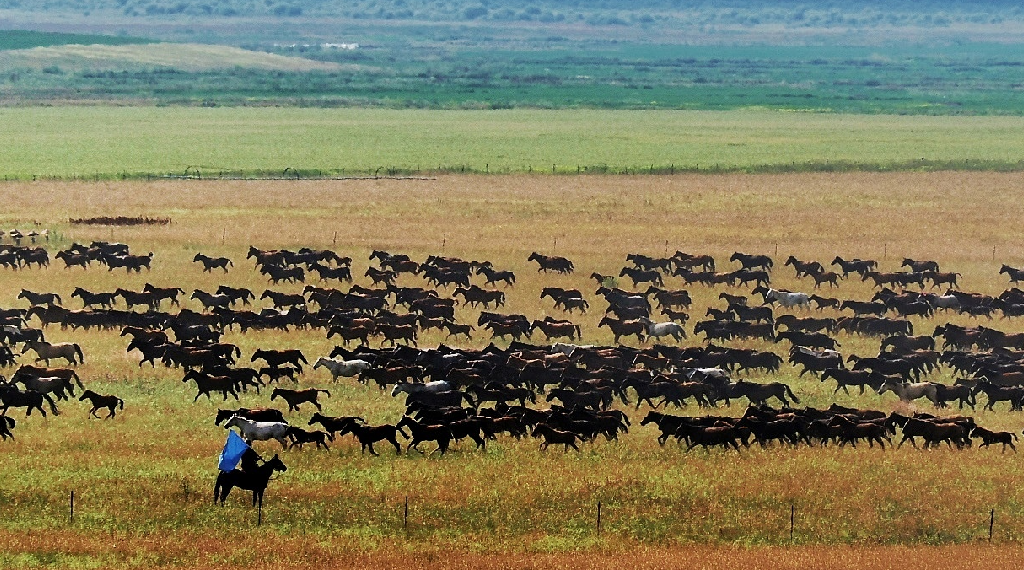 Zhaosu, la città dei cavalli celesti