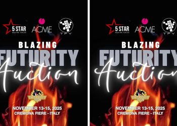 Blazing Futurity Auction: anche in Europa le ‘Big Sales’