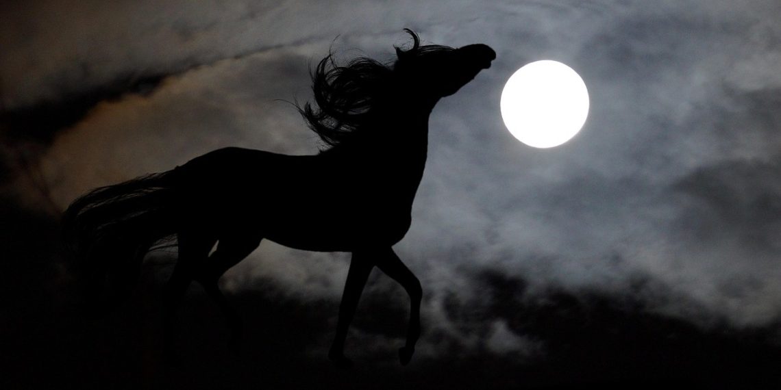 Il cavallo che cammina tra i mondi