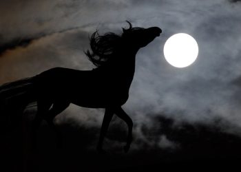 Il cavallo che cammina tra i mondi