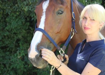 Libri di cavalli: ‘Stretching per il cavallo’, di Laura Fierimonte