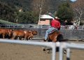 Trofeo Valsassina Cup: un trionfo al Country Festival
