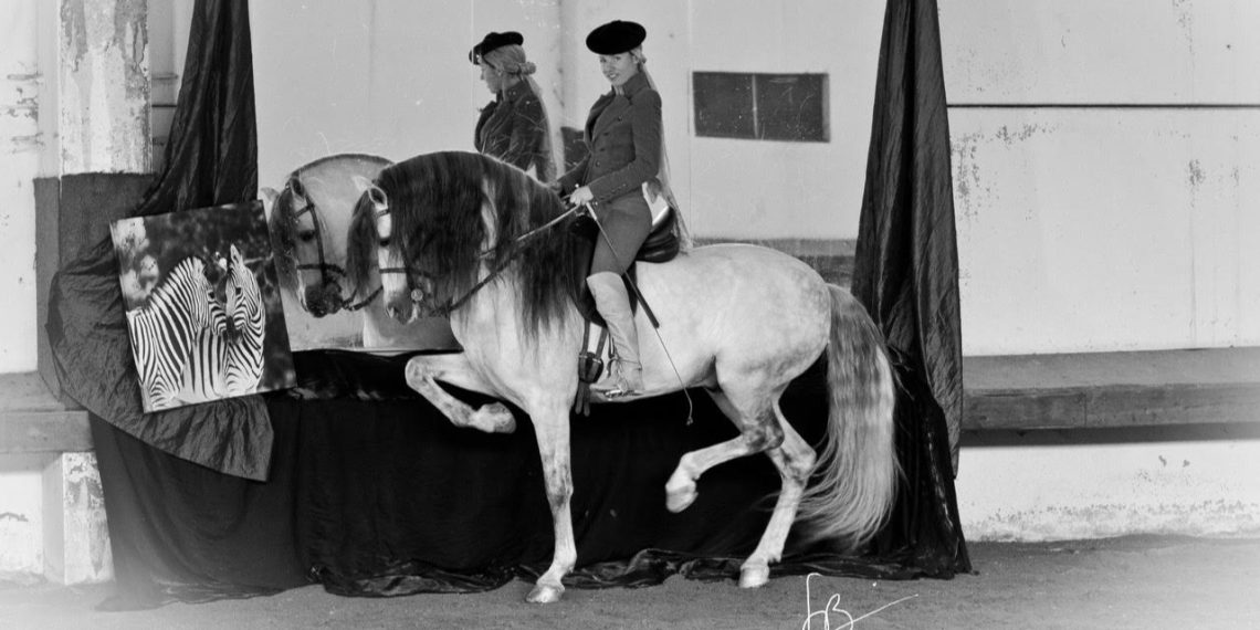 Fiera del Cavallo di Forlì: ci sarà anche l’Accademia Teatro Equestre Zebre