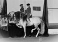Fiera del Cavallo di Forlì: ci sarà anche l’Accademia Teatro Equestre Zebre