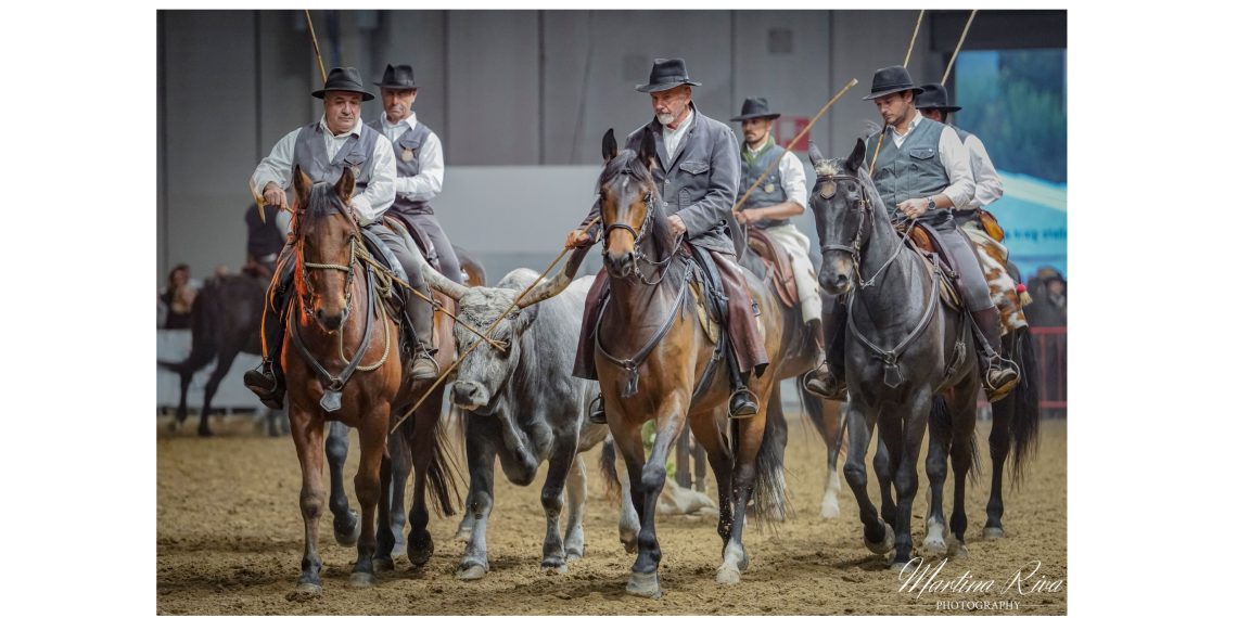 08112025  DSC8287 1140x570