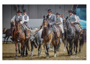 Carosello delle razze Italiane: Italialleva vince a Fieracavalli 2025
