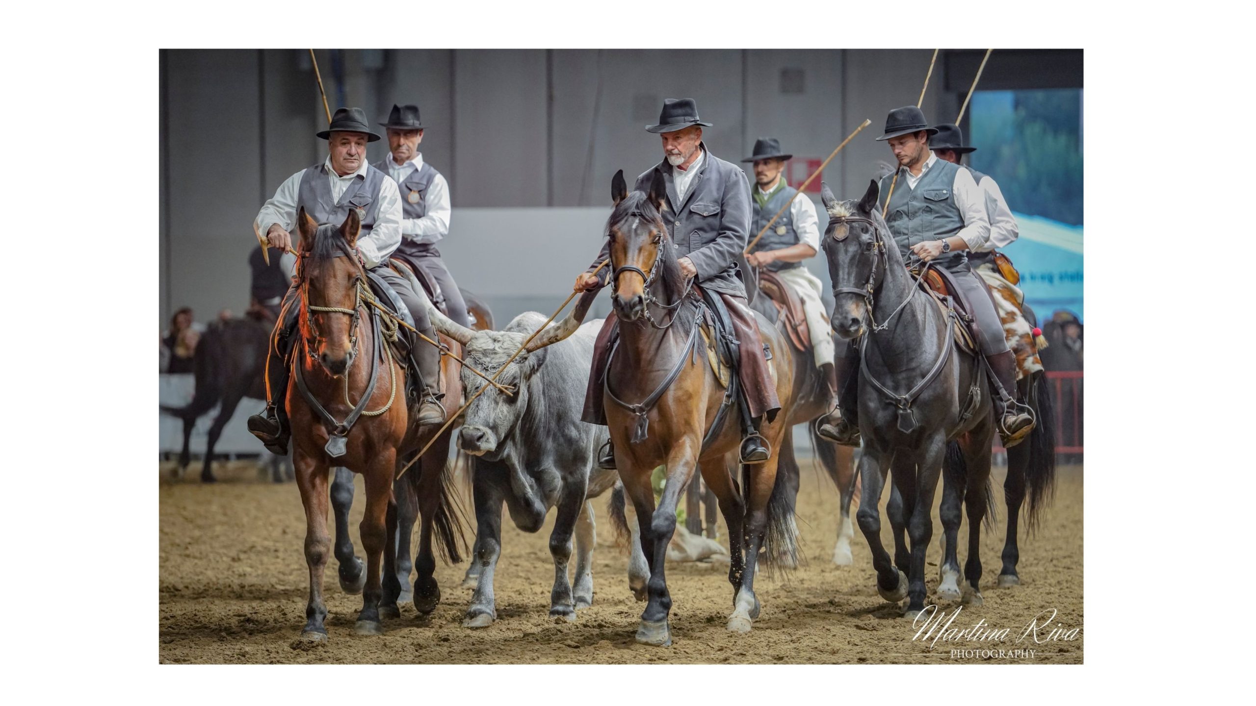 08112025  DSC8287 scaled