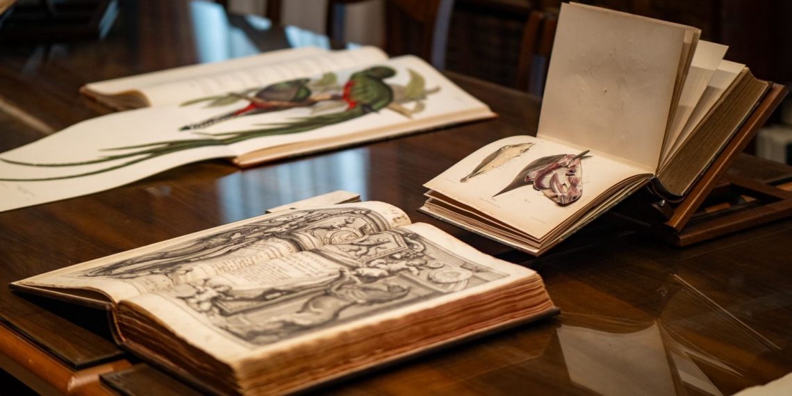 1 Opere di argomento equestre della Biblioteca Storica Nazionale dellAgricoltura foto Matteo Caracciolo 1140x570