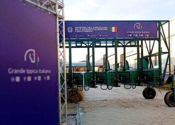 127 fieracavalli gabbie 350x250