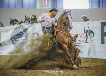 137983 fa908399 820 350x250