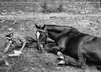 45df04abe022b1cafd300509b3755d88 1 350x250