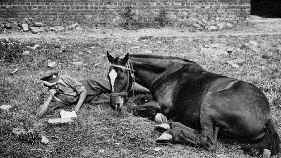 45df04abe022b1cafd300509b3755d88 1