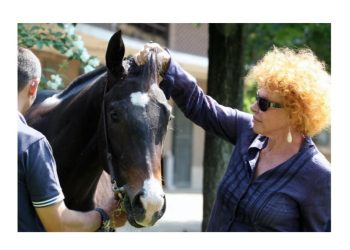 496944408 9952207148152249 7237207551657940950 n 350x250