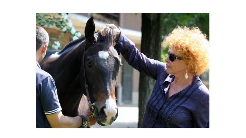 496944408 9952207148152249 7237207551657940950 n