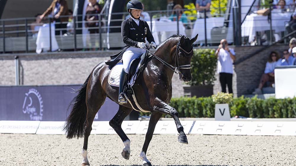 54756419486 da8e59d6ca 5k