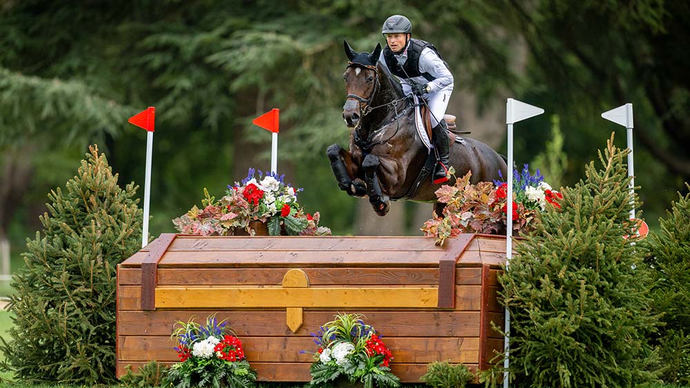 54799242097 3f6f5db844 o