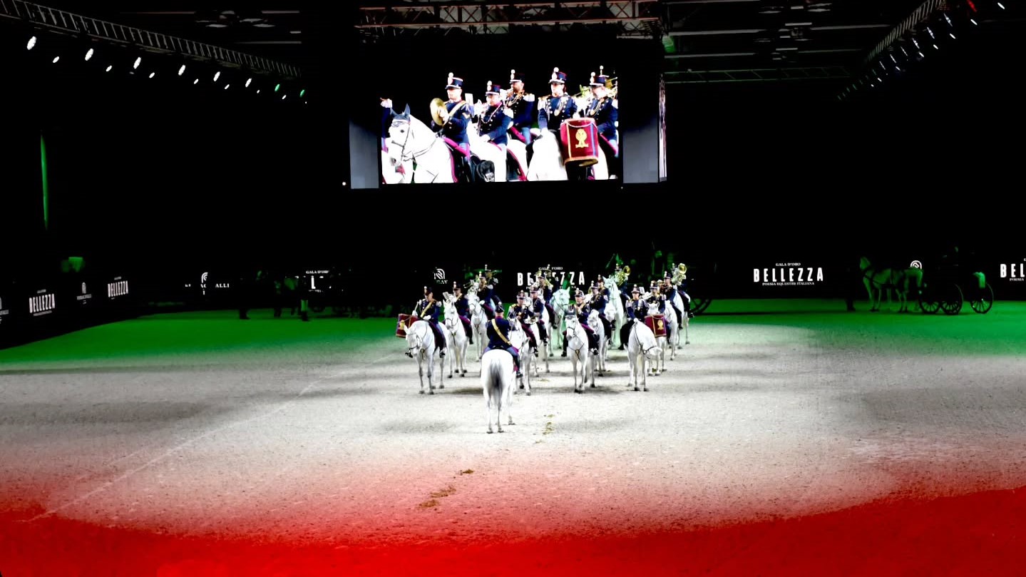 576128933 18029354480760438 419751087721543745 n 1