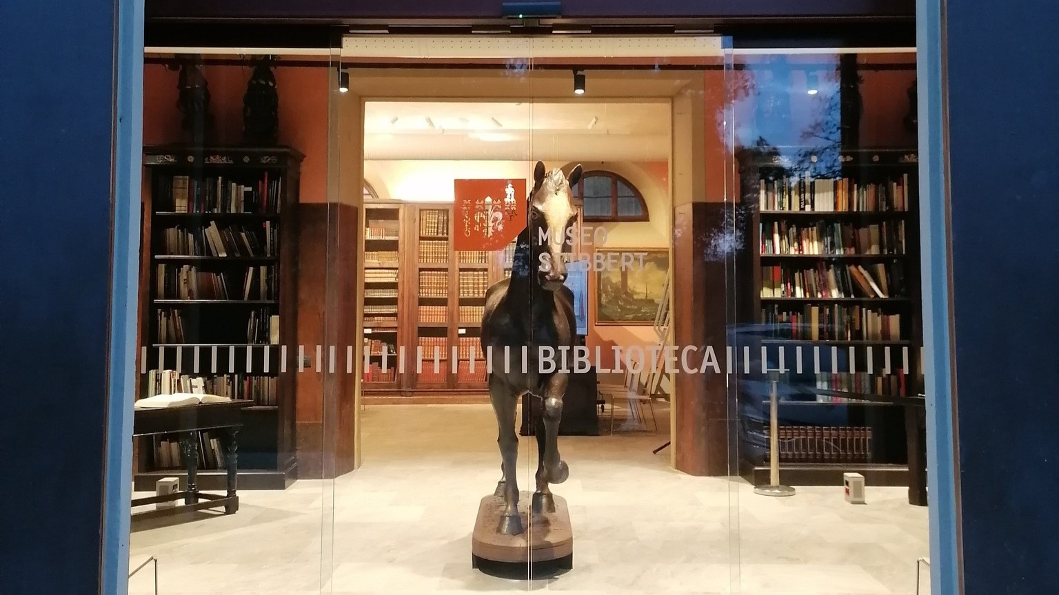 586510408 1271042345053926 4085942046953066110 n