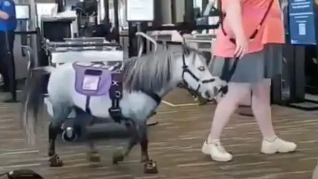 5d6e352821214c10f836079a 1