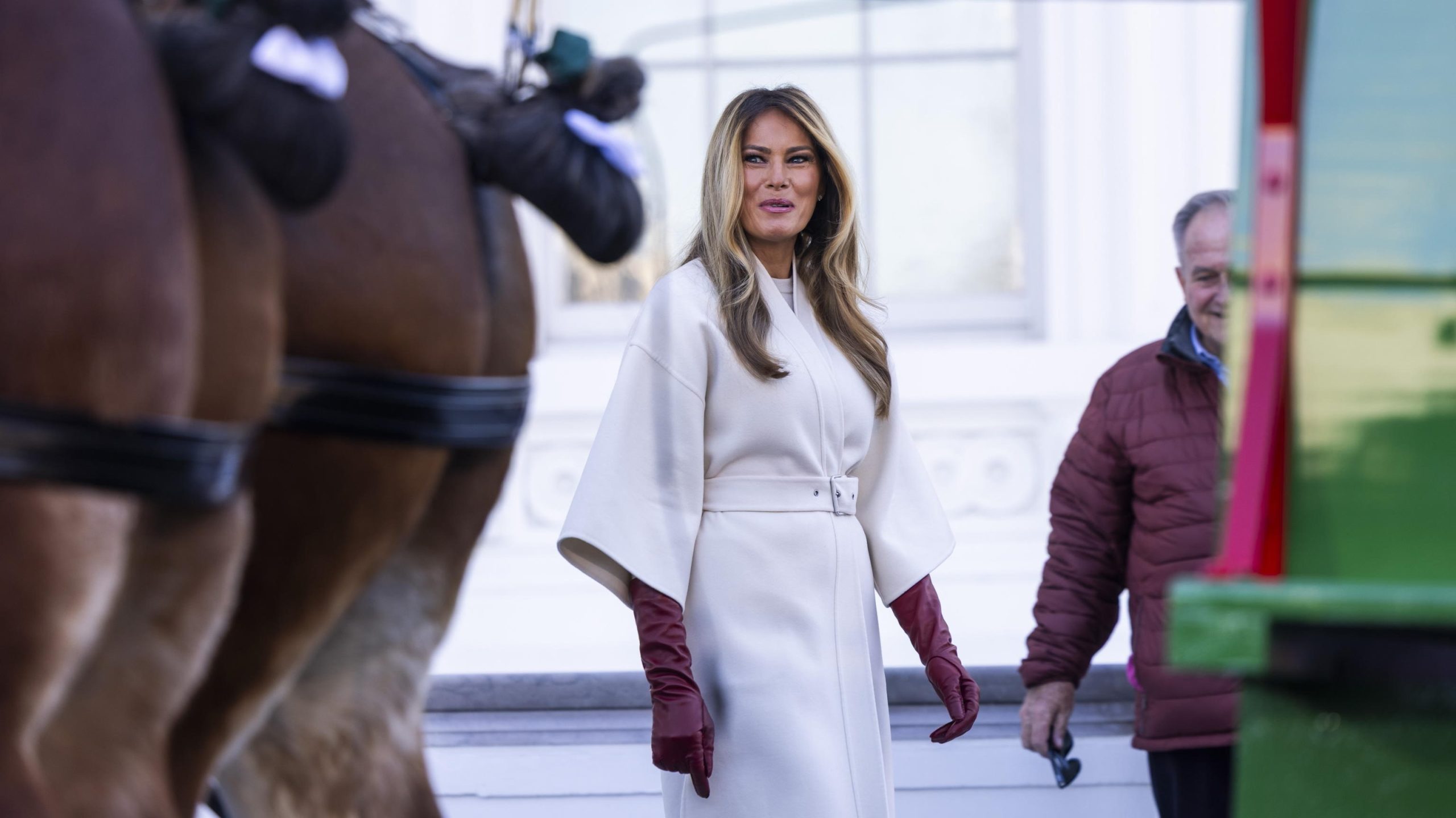 7eb1545ddbea43a1bbe362337f28363b scaled