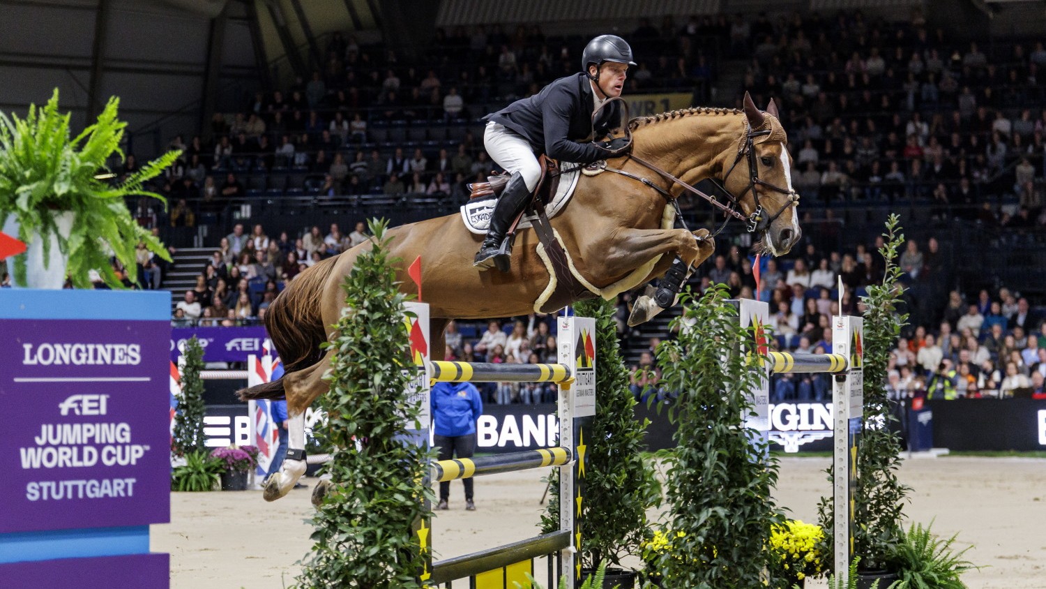 CSI W Stoccarda Willem Greve su Pretty Woman van het Paradijs OK