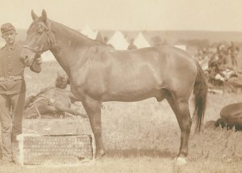 Comanche  the only survivor of the Custer Massacre 1876. History of the horse and regimental orders of the 7th Cavalry as to the care of  Comanche  as long as he shall liv 350x250