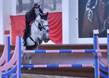 DOM 15031 scaled e1764529366445 350x250