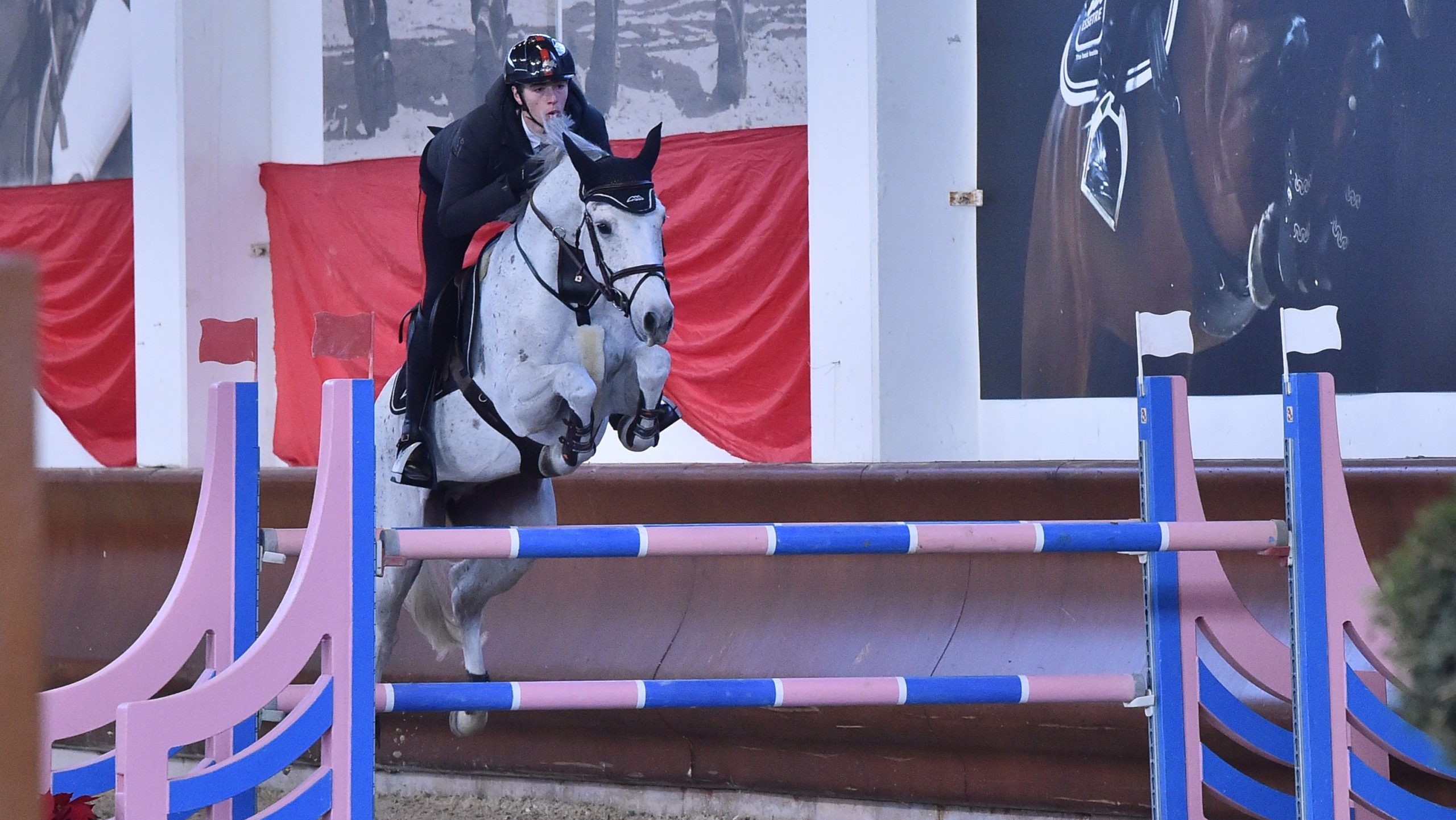 DOM 15031 scaled e1764529366445