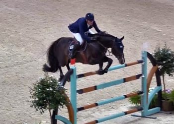 Daniel Deusser, Signore di Verona