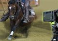 Futurity di Cremona: la finalissima Open in tv!