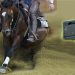 Futurity di Cremona: la finalissima Open in tv!