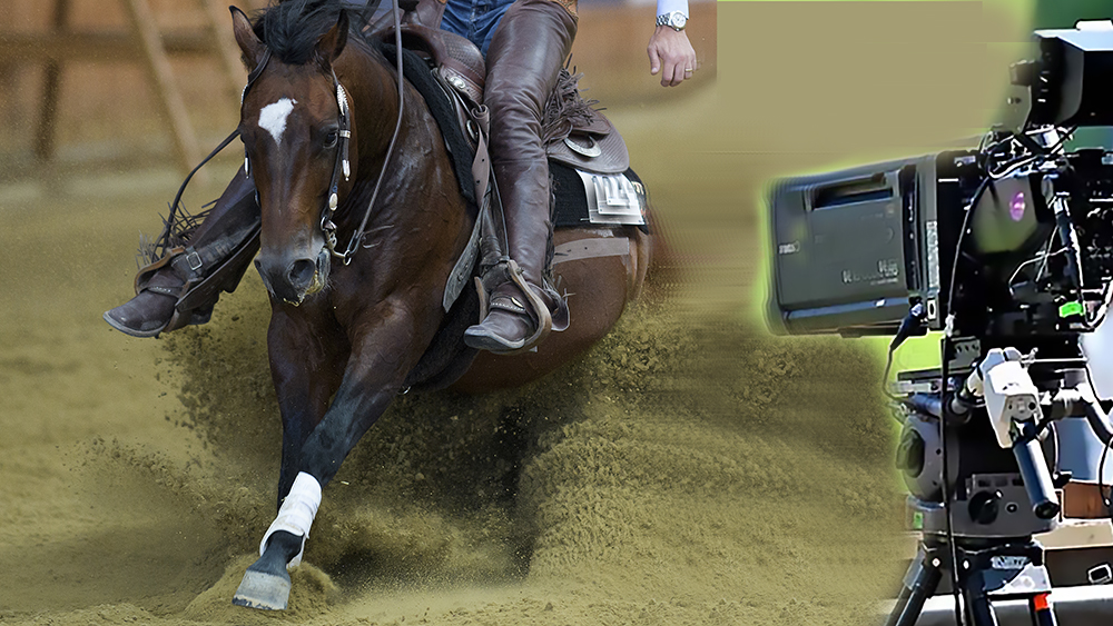 FEIRichard Juilliart2