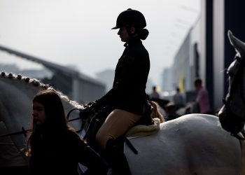 Fieracavalli Lab: il futuro dell’equitazione tra alta formazione e benessere animale
