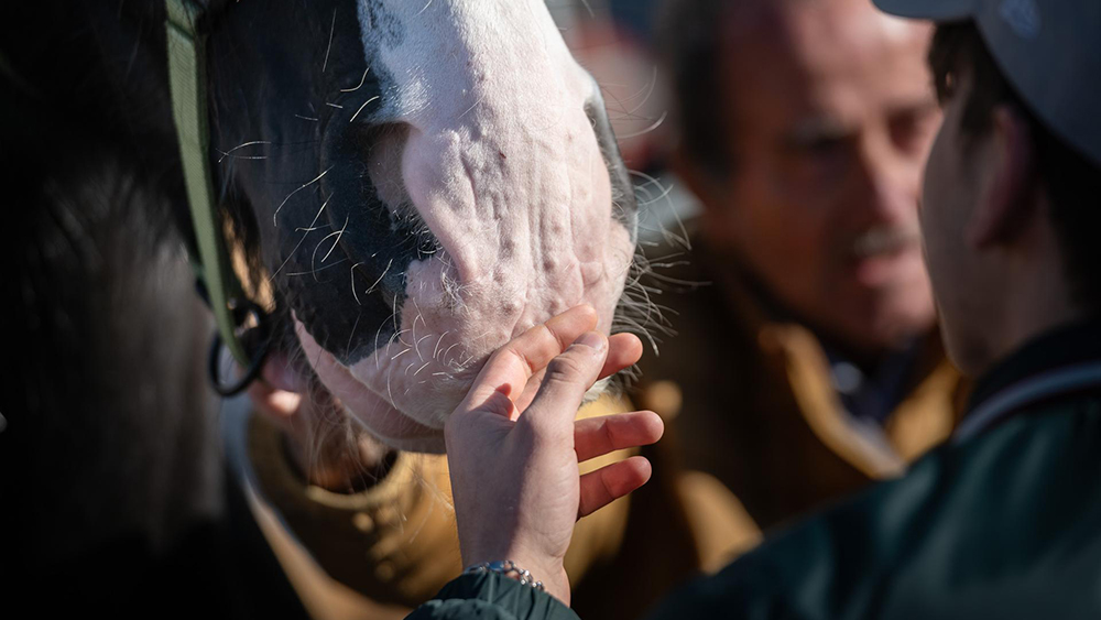 Fieracavalli2025 Veronafiere EnneviFoto 6575