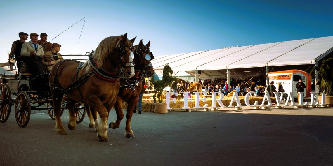 Fieracavalli2025 Veronafiere EnneviFoto 7379 1140x570
