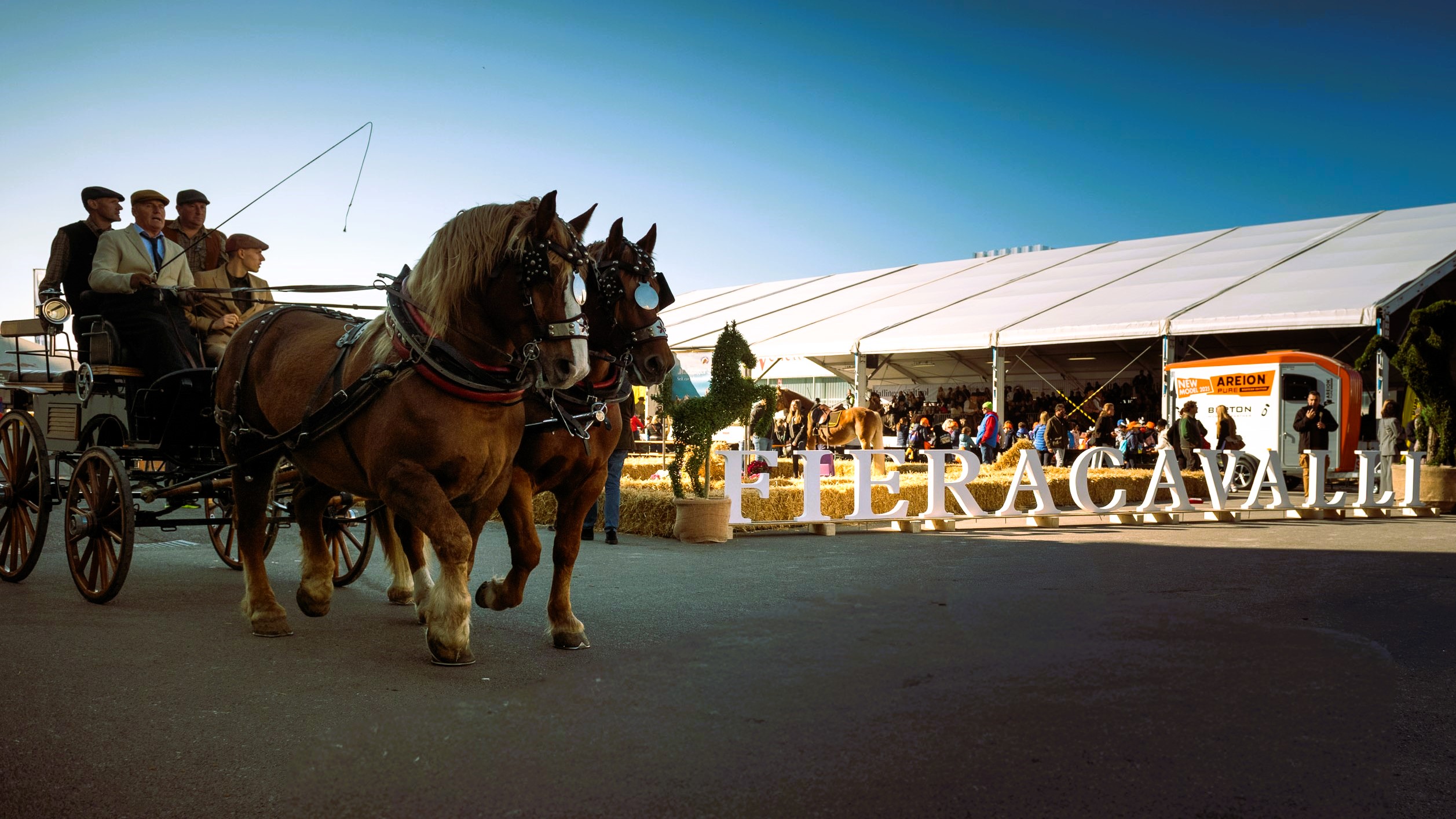 Fieracavalli2025 Veronafiere EnneviFoto 7379