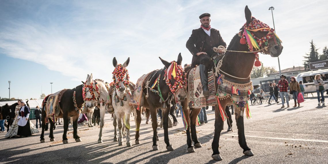 Fieracavalli2025 Veronafiere EnneviFoto 8725 1 1140x570