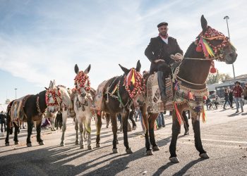 La Bellezza di un Galà d’Arte: Sicilia