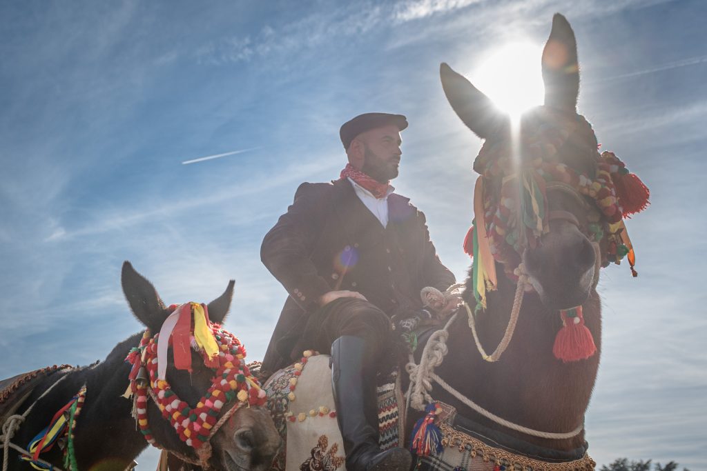 Fieracavalli2025 Veronafiere EnneviFoto 8729 1024x683
