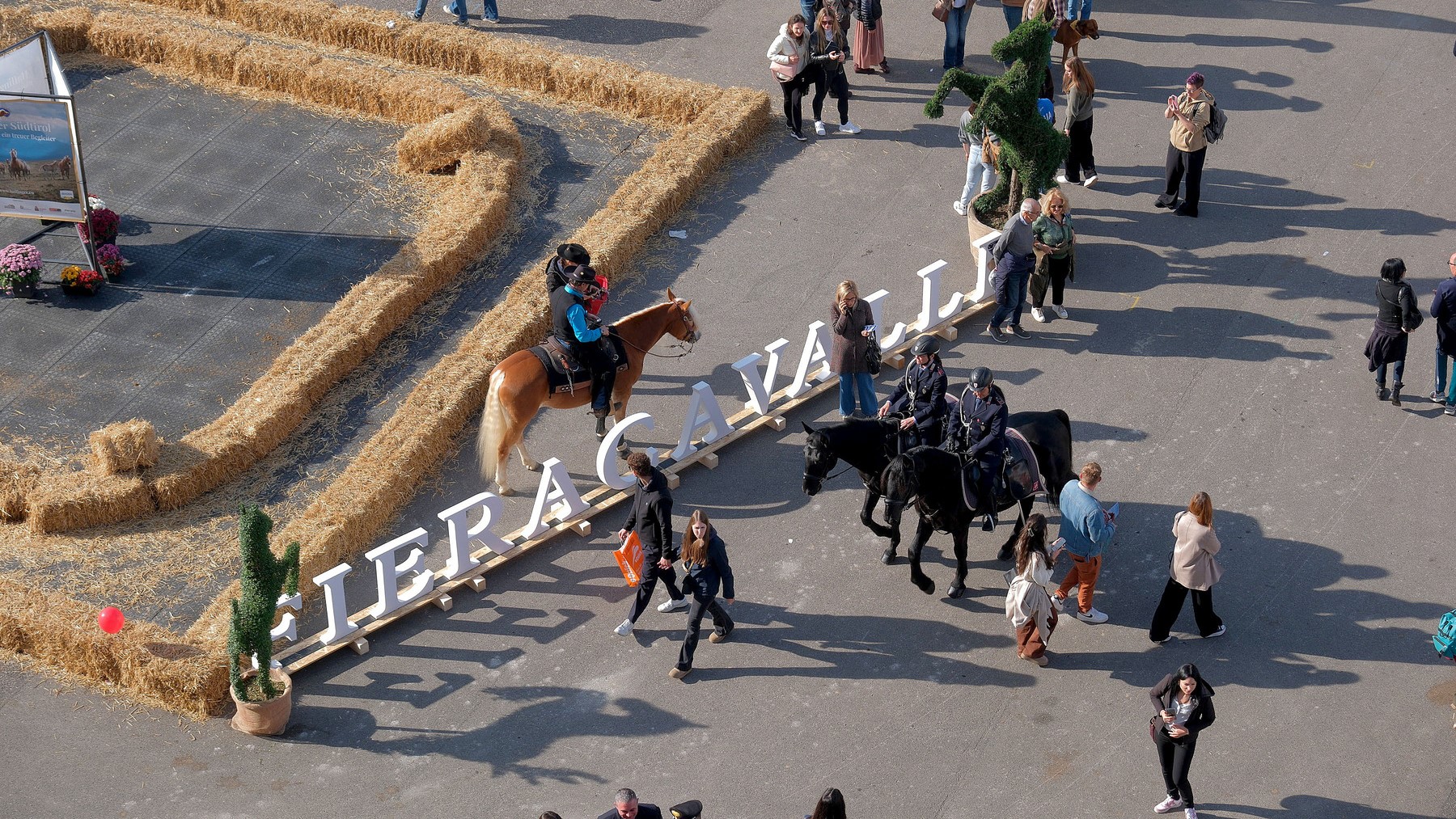 Fieracavalli2025 Veronafiere EnneviFoto 6917